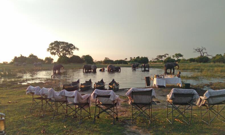 viaggi safari di lusso Africa Botswana elefanti okavango
