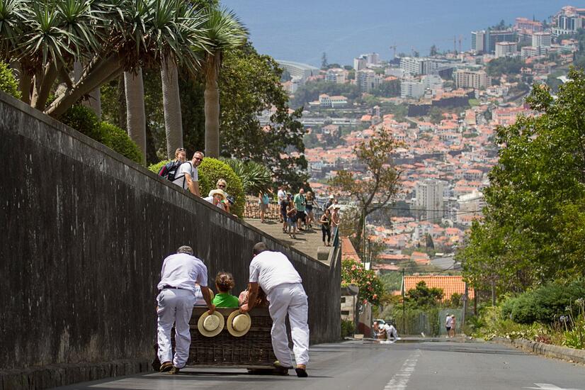 Carreiros do Monte. Foto Miguel Moniz.