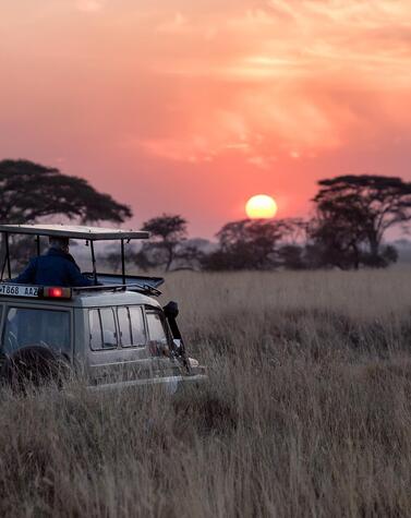viaggio safari di lusso Africa Botswana