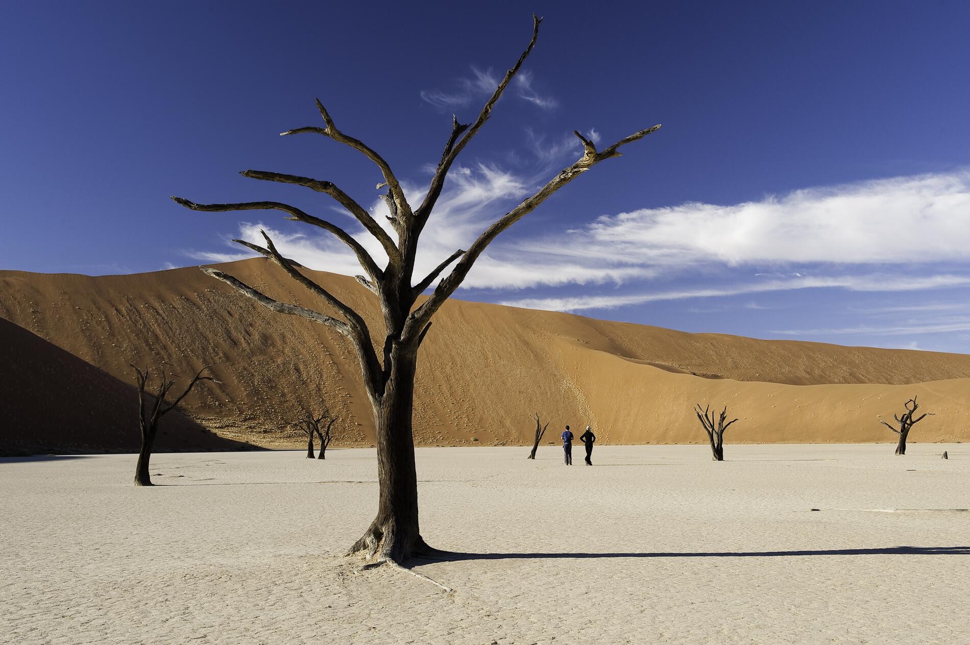 Sossusvlei. Safari Namibia.