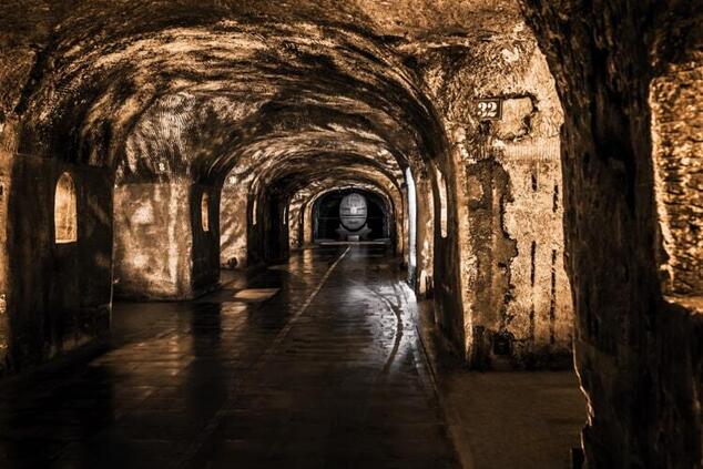 moet chandon epernay winery