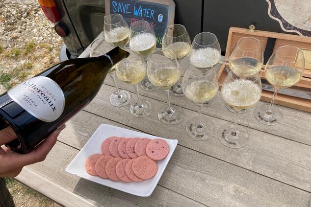 picnic in the vineyard biscuits roses fossier