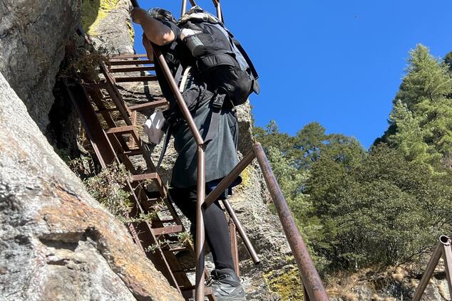 Aumento della quarta tranche. Nido della Tigre.