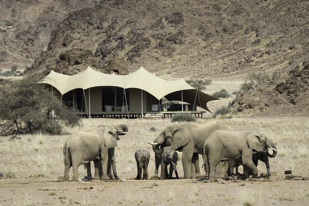 Scheletri di Hoanib Costa. Safari Namibia.
