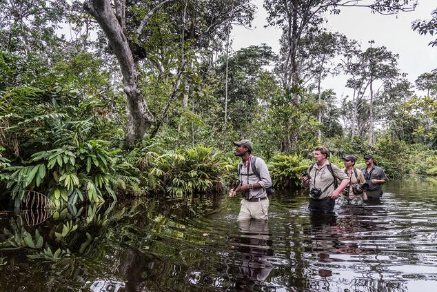 Passeggiata in un bai alla ricerca degli elefanti