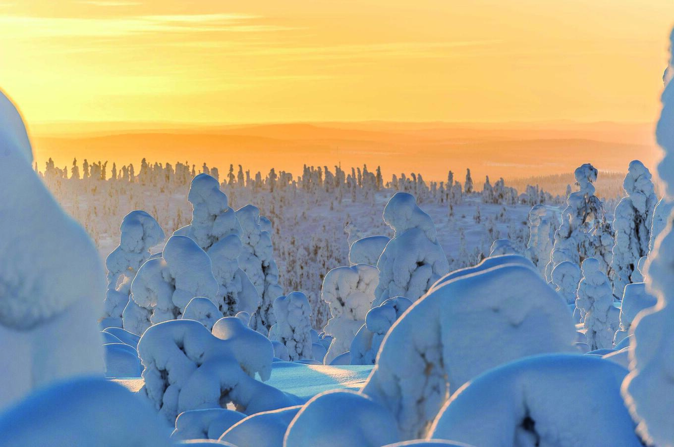 Paesaggio innevato in Finlandia