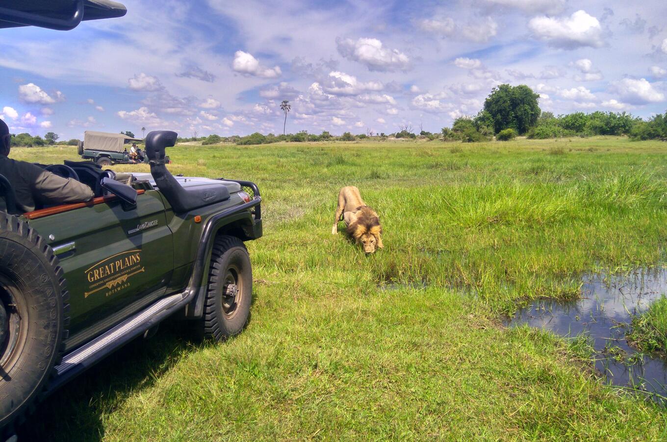 viaggi di lusso Africa Botswana safari Okavango safari