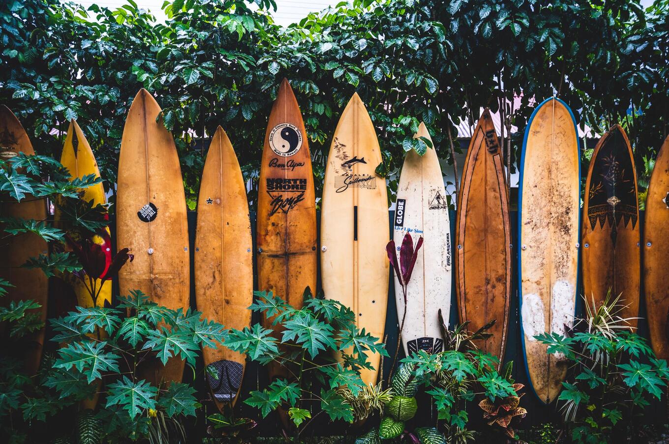 viaggio d'avventura di lusso alle Hawaii