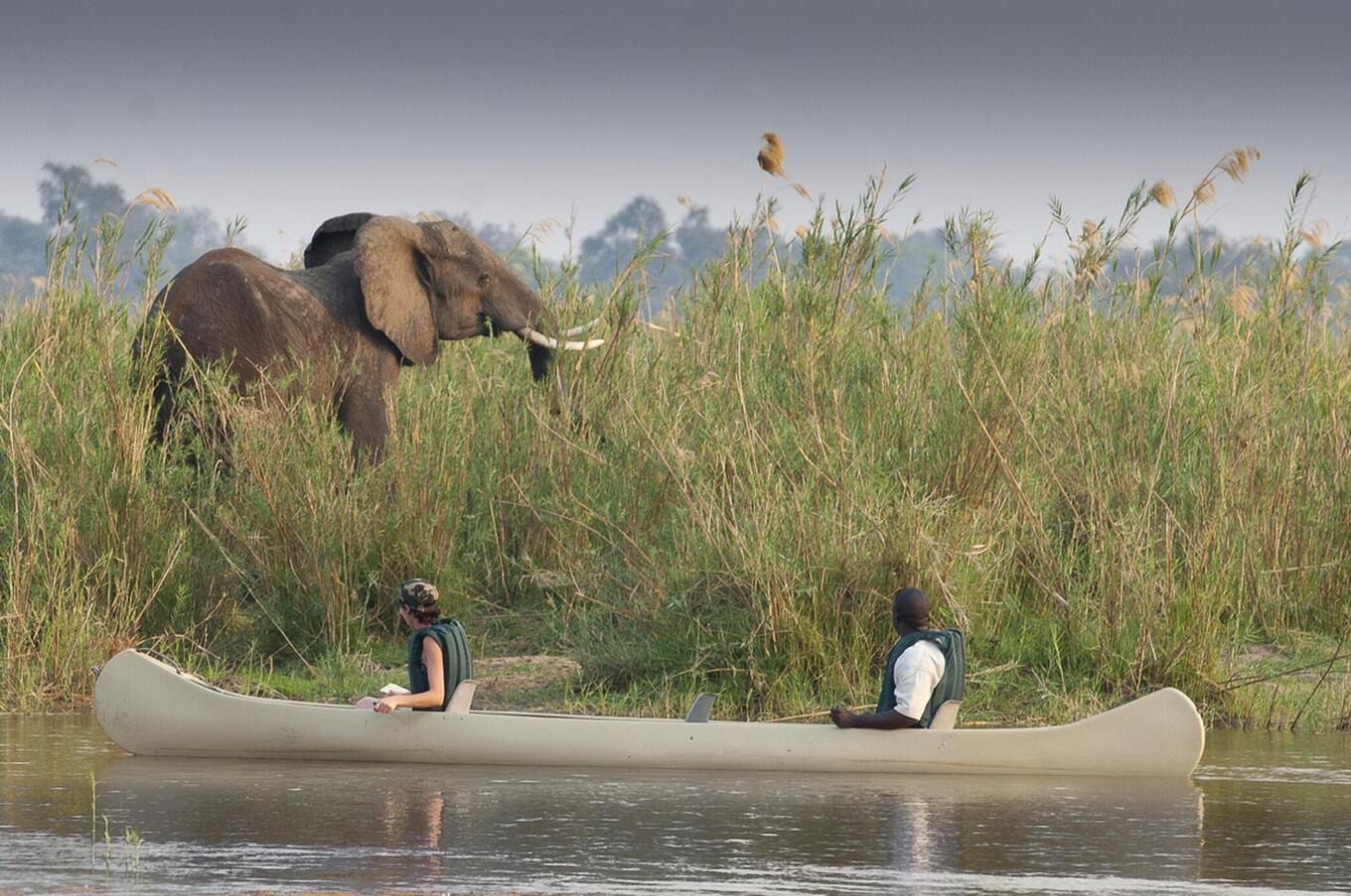 Un safari dall'acqua offre una prospettiva unica.