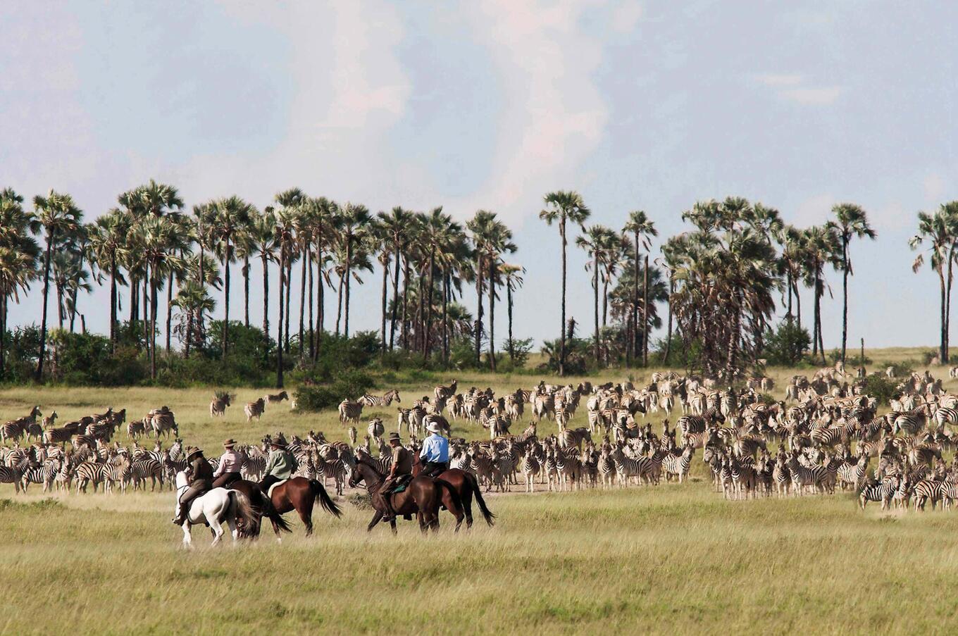 Safari a cavallo nella salina di Makgadikgadi