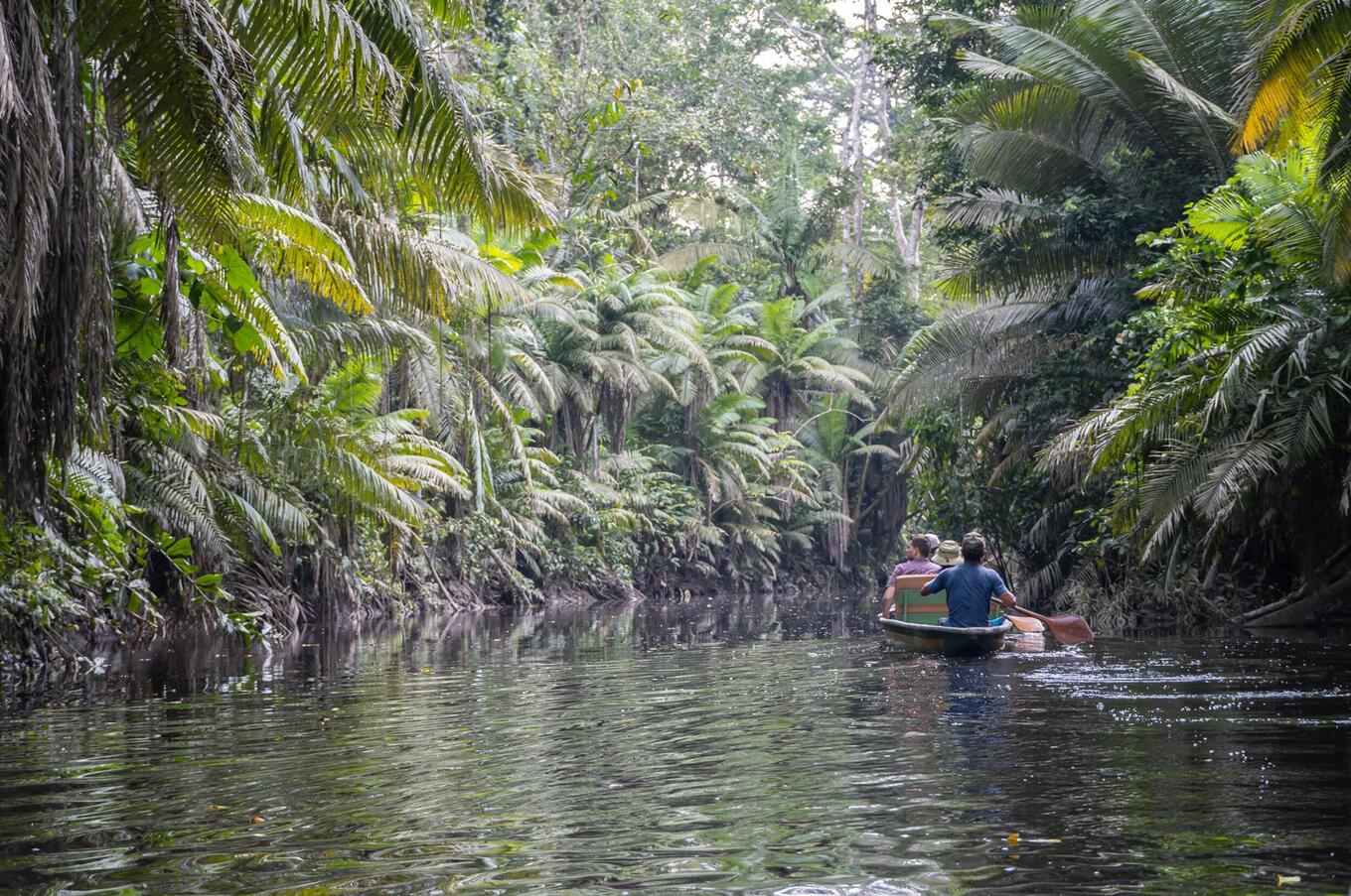 Vivere la natura al Napo Wildlife Center