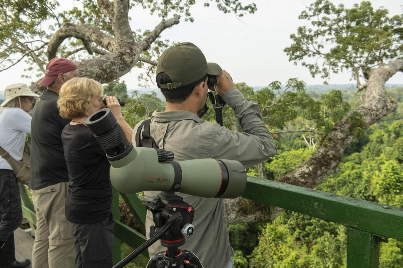 Vivere la natura al Napo Wildlife Center