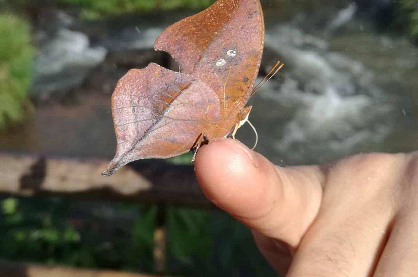 La mia scoperta delle cascate