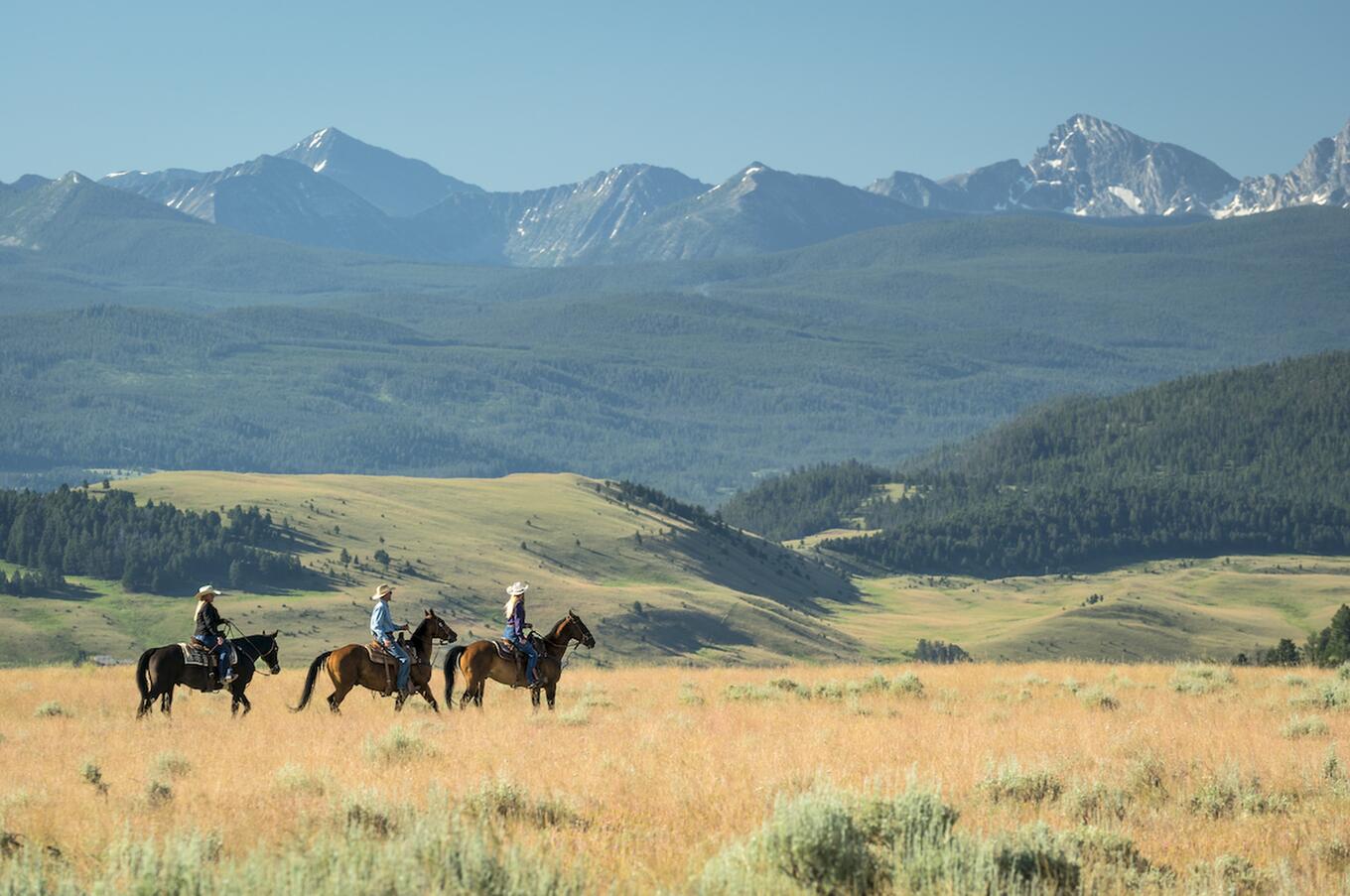 Un giorno a The Ranch at Rock Creek