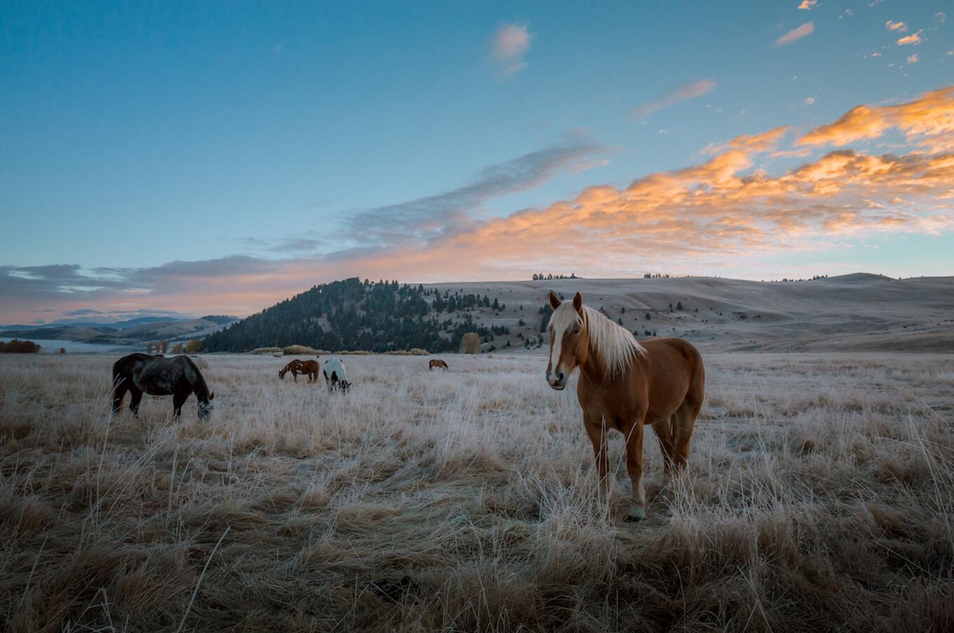 Un giorno a The Ranch at Rock Creek