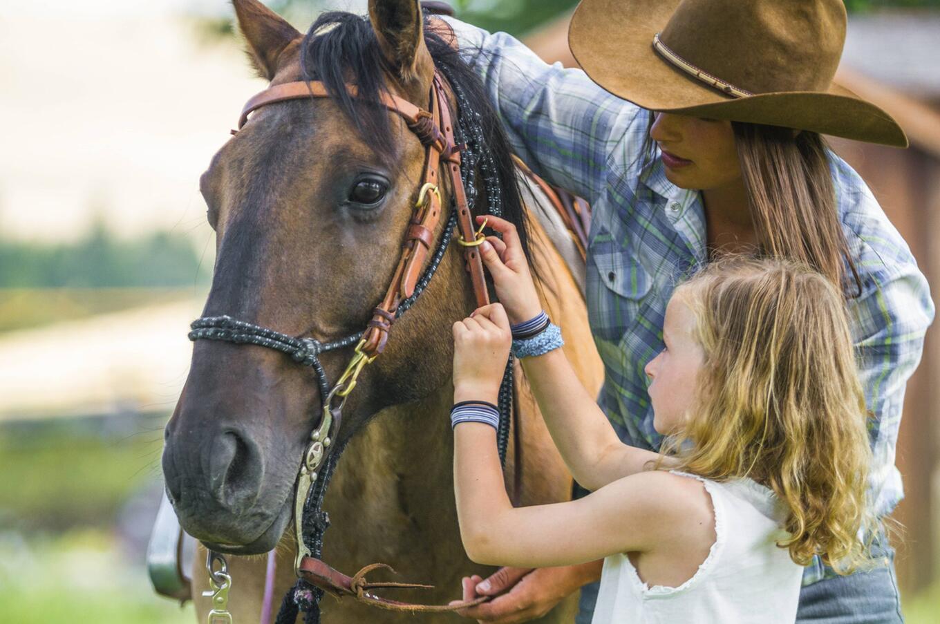 Un giorno a The Ranch at Rock Creek