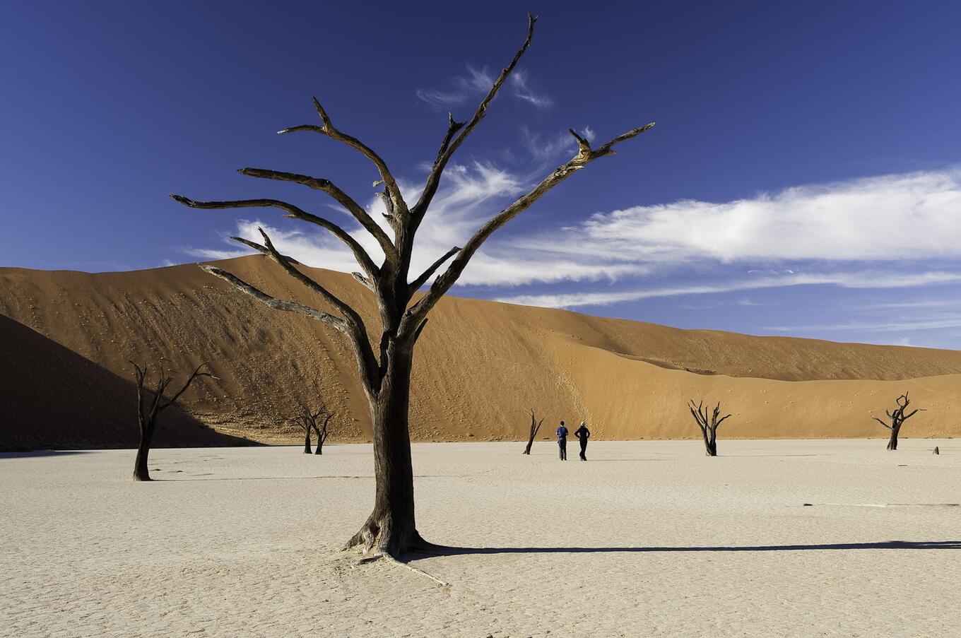 Sossuslvlei Namibia. Safari Namibia.