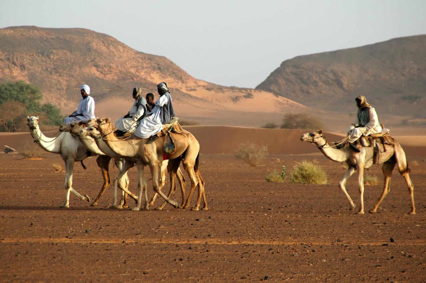 Nilo-Sudan