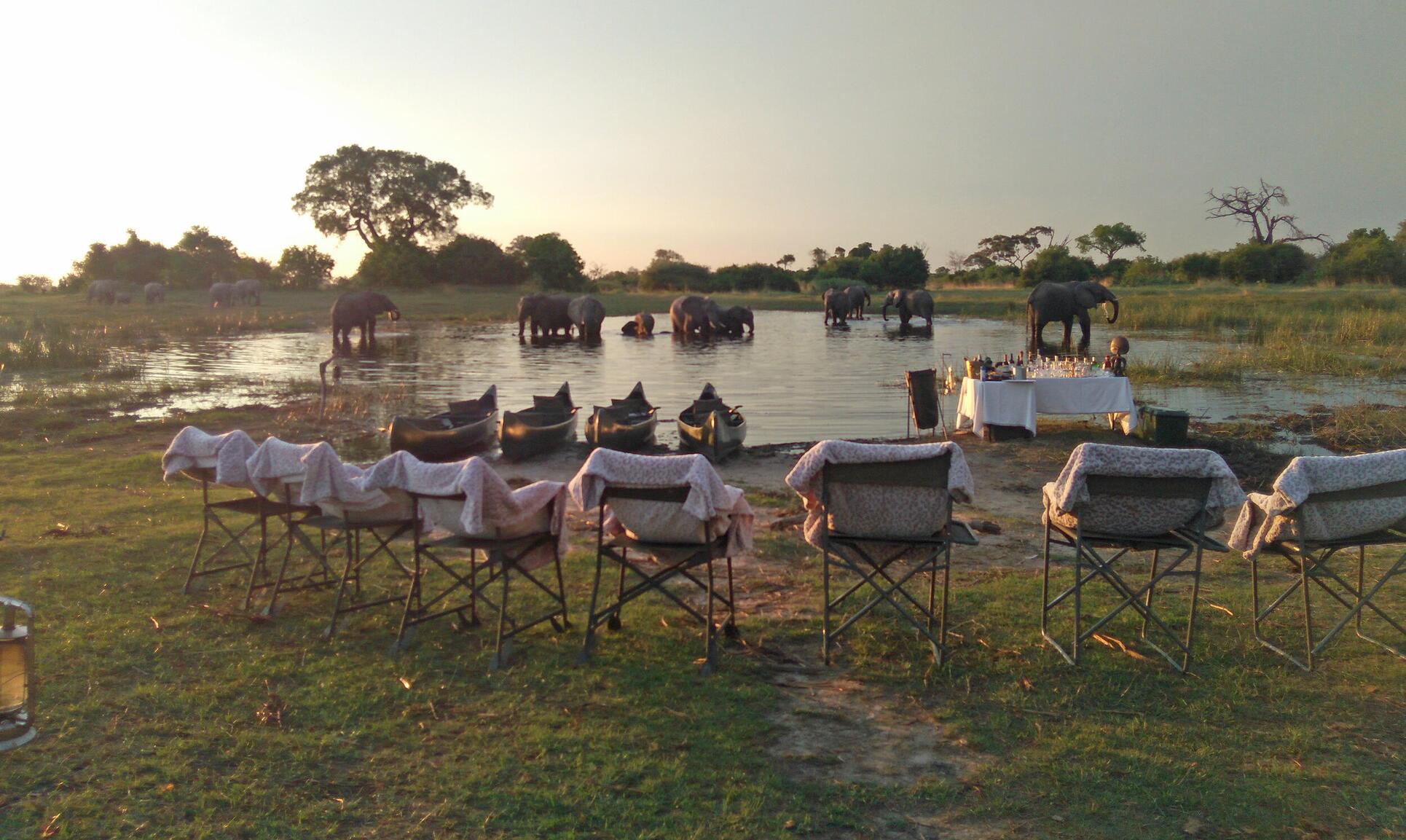 safari di lusso in Botswana Africa