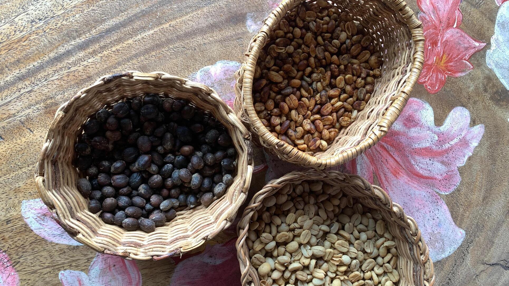 trip to the coffee region Colombia Quindio