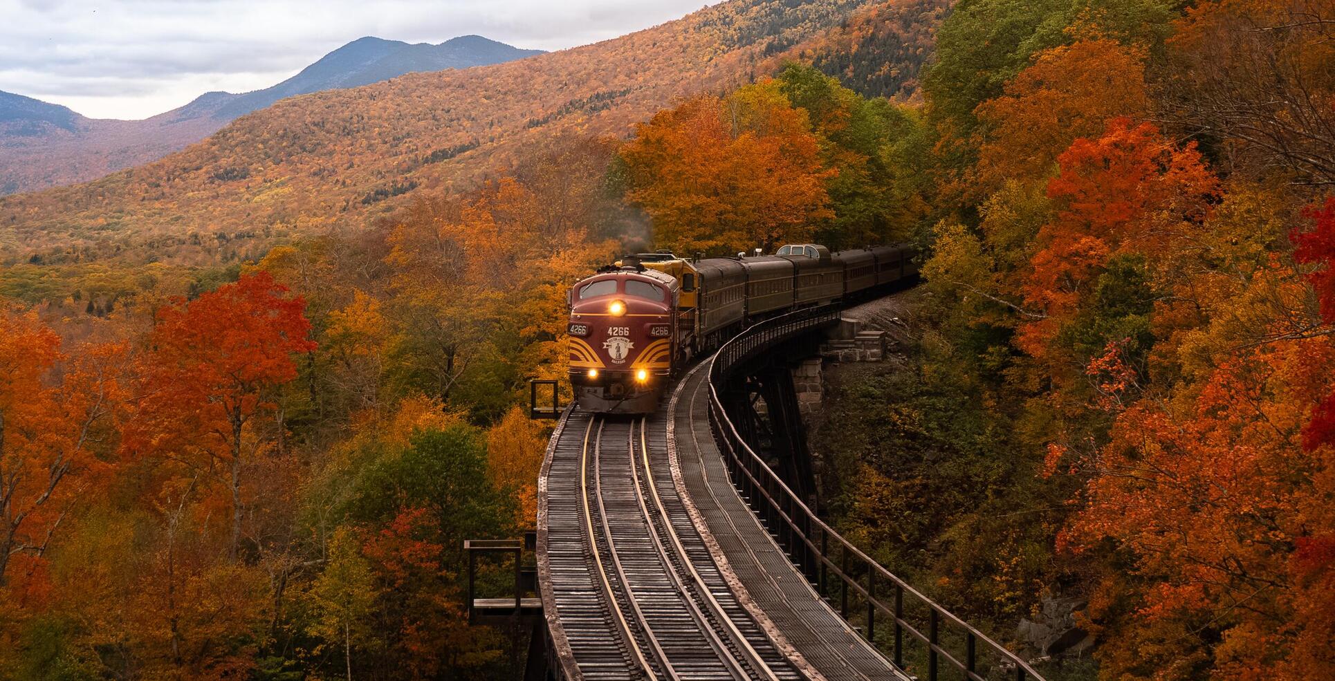 viaggio d'autunno nella natura