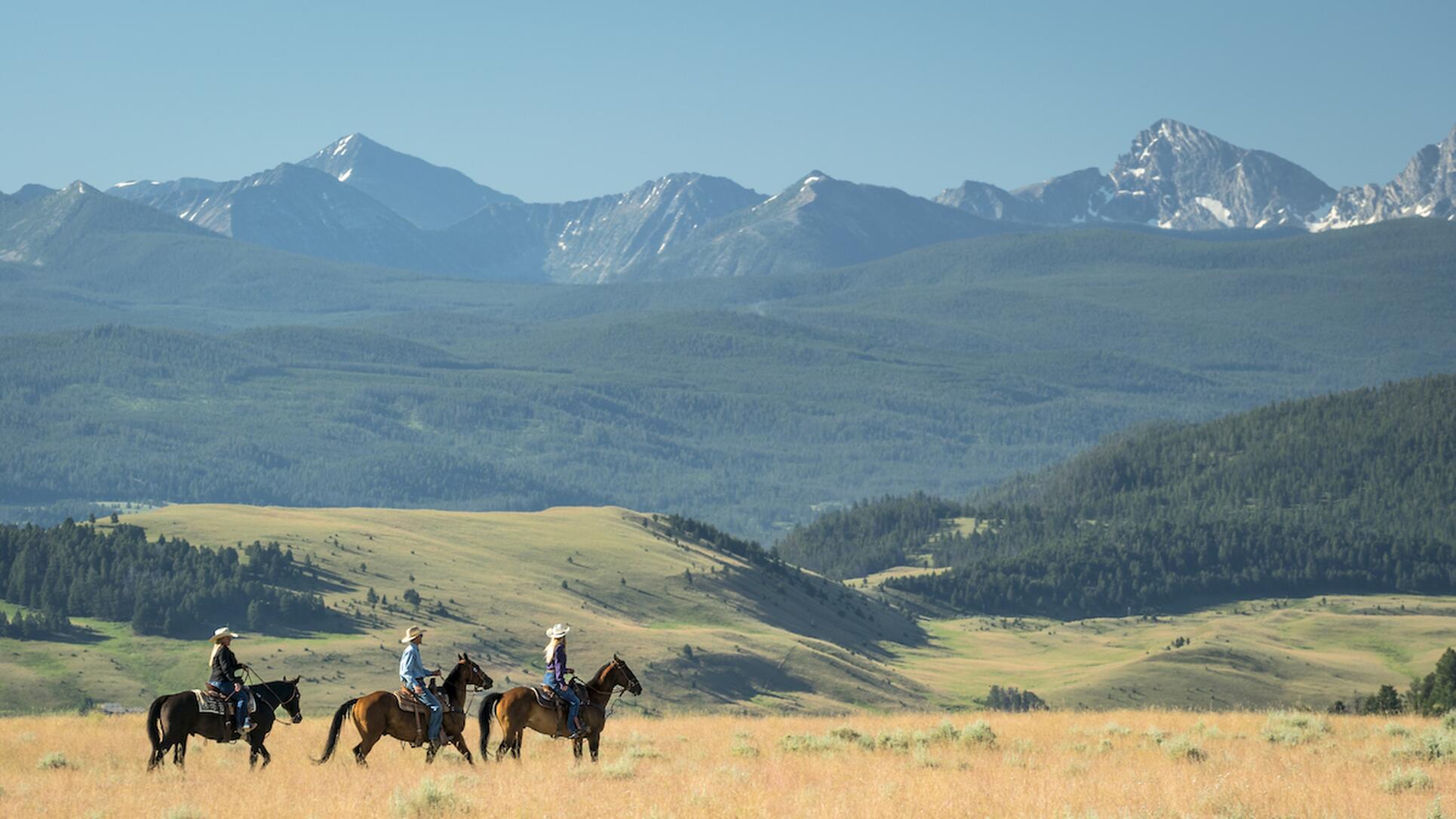 Rocky mountains