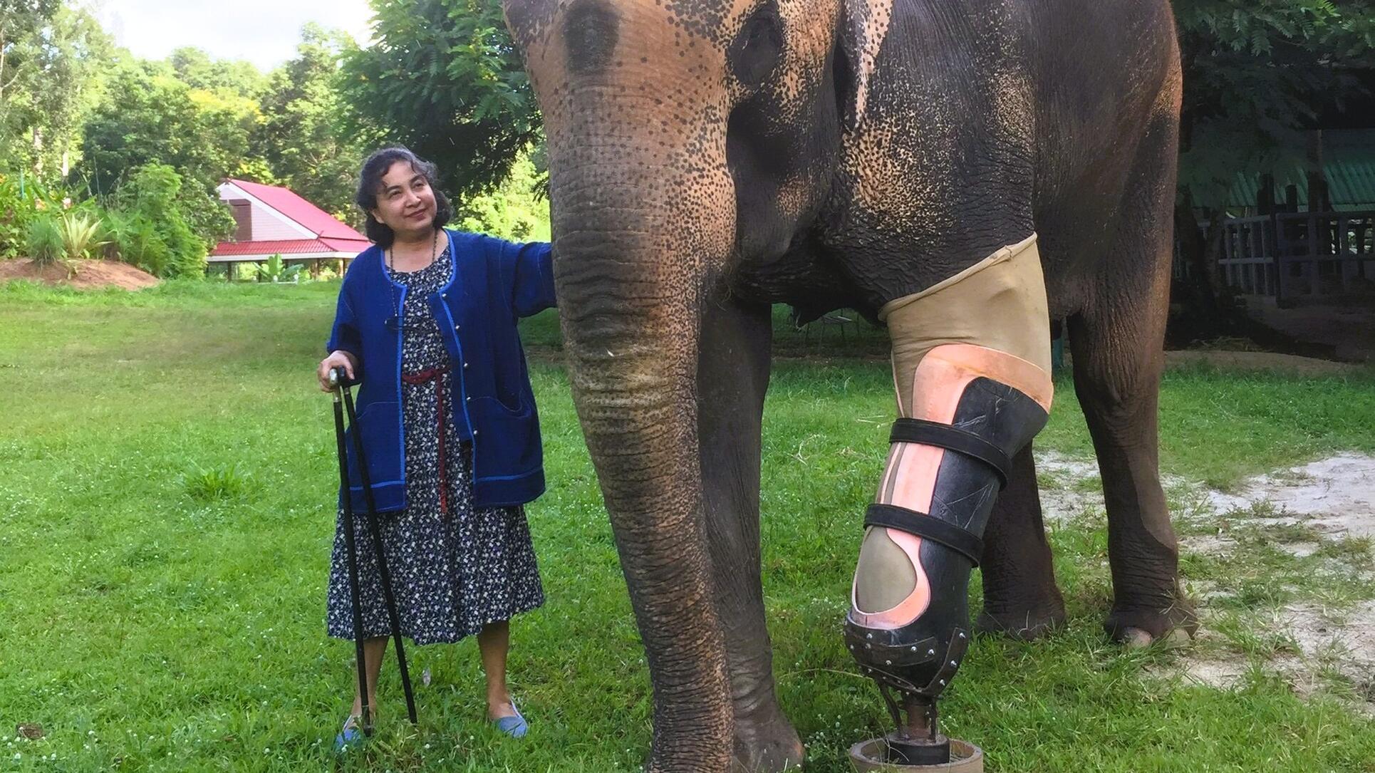 Ospedale per elefanti Soraida Salwala Thailandia