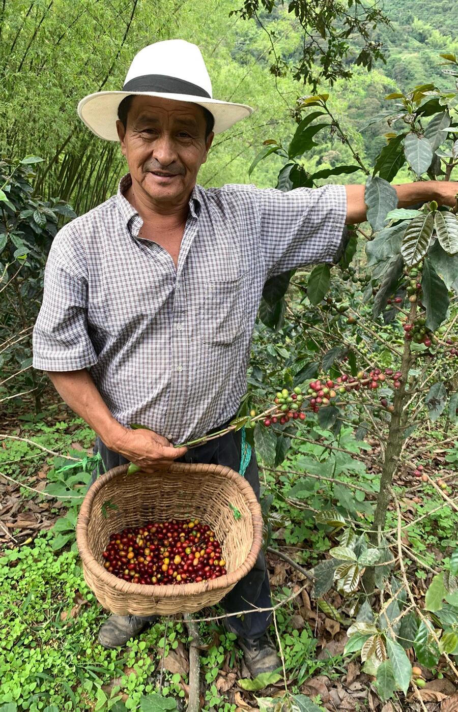 trip to the coffee region of colombia Quindio